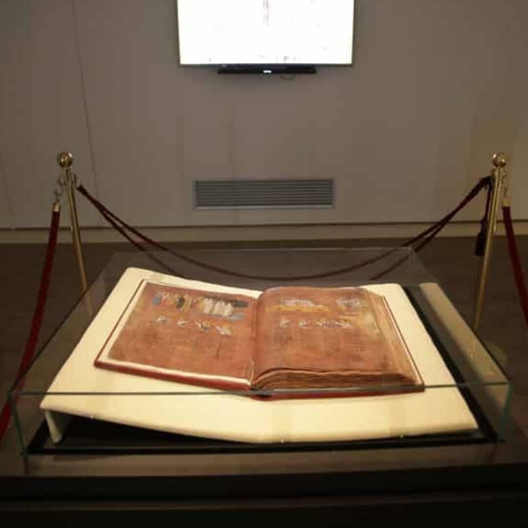 Museo_Diocesano_Codex (1)